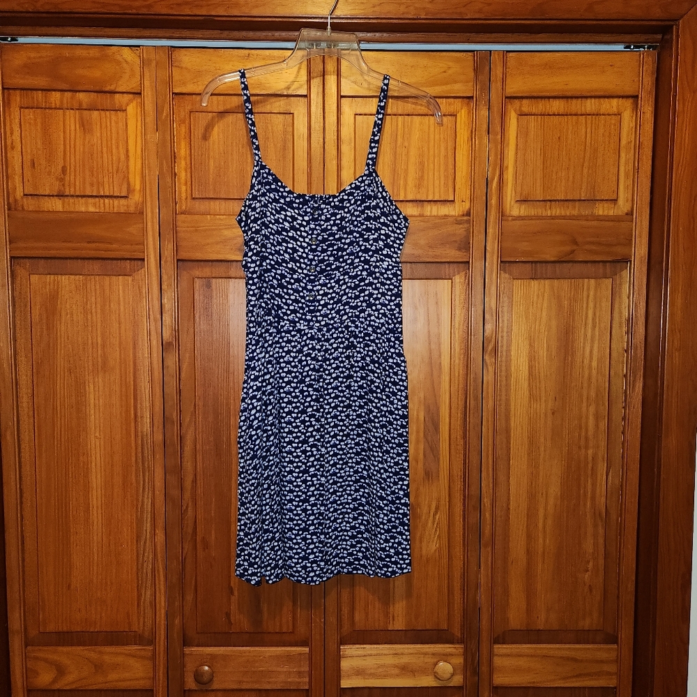 Express Skater Dress